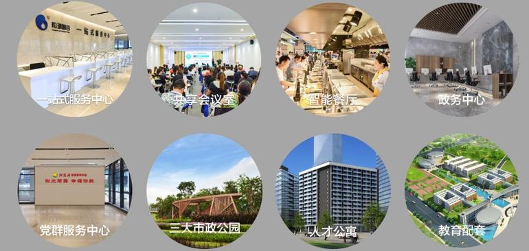 园区实行"土地集约化,工厂楼宇化,产业集群化,服务公地化,工作智能化
